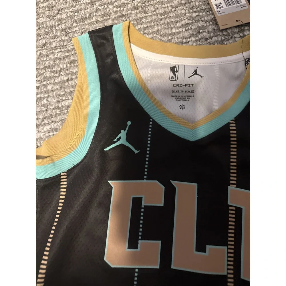 MENS NIKE NBA CHARLOTTE HORNETS CITY SWINGMAN JERSEY 2022-23 Size XS 36